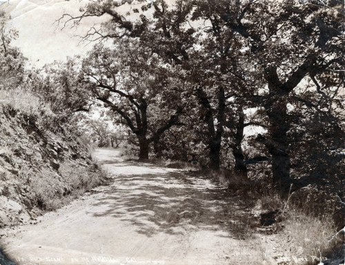 1900 Mount Hamilton Road