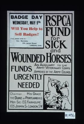 Badge day, Wednesday. Will you help to sell badges? RSPCA Fund for Sick and Wounded Horses. Funds urgently needed