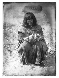 Havasupai Indian woman weaving a basket, ca.1899