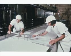 Cheese production at the Petaluma Cooperative Creamery, 621 Western Avenue, Petaluma, California, September 1977