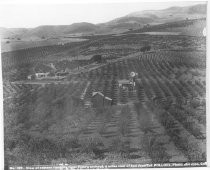 View from Todd's Orchard c. 1890