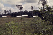Cottages Under Construction, Jonestown, Guyana