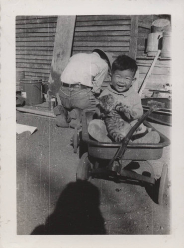 Young boy sits in wagon holding a cat