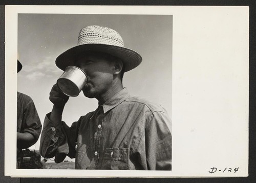 An evacuee farmer takes time out from harvesting spinach to take a refreshing drink of water. Photographer: Stewart, Francis Newell, California