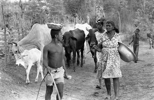 Women and boys herding cattle on a dirt road, San Basilio de Palenque, 1977