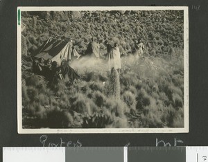Camp at Mount Kenya, Kenya, ca.1930