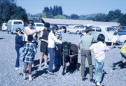 Children with Pony, Peoples Temple Church, Redwood Valley, California