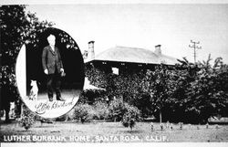 Luther Burbank home, Santa Rosa, California