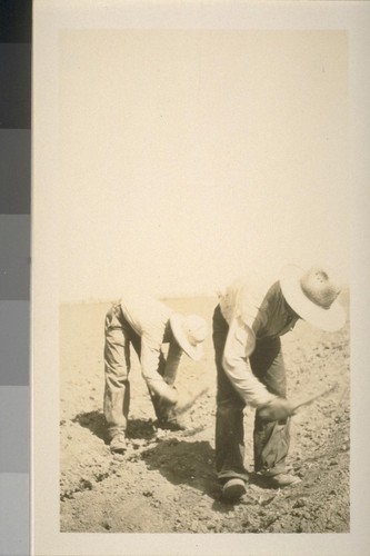 Snapshots of laborers and buildings, location unknown