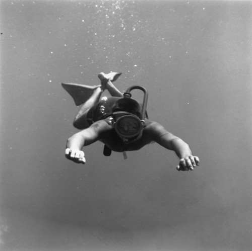 Diver in snorkel gear during the Capricorn Expedition