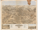 Birds eye view of Grass Valley, Nevada County Cal., 1871