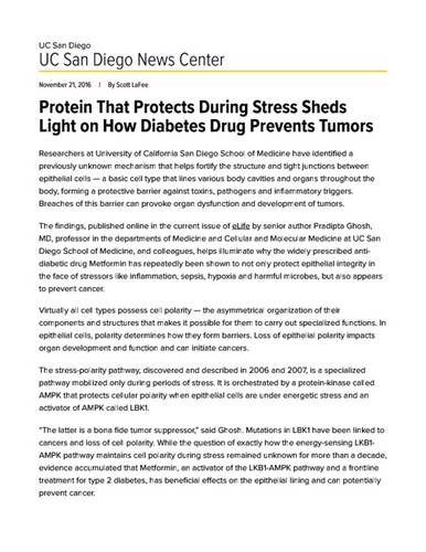 Protein That Protects During Stress Sheds Light on How Diabetes Drug Prevents Tumors
