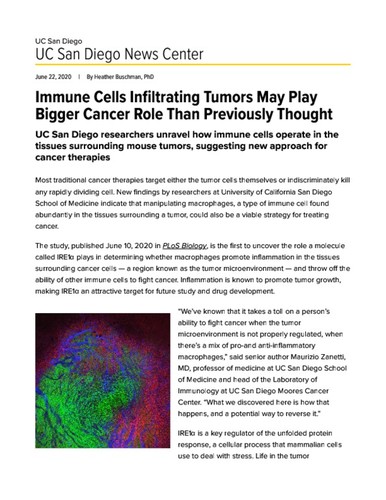 Immune Cells Infiltrating Tumors May Play Bigger Cancer Role Than Previously Thought