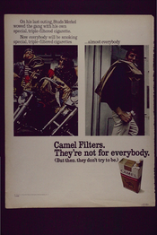 Camel Filters. They're not for everybody
