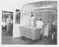 Gutting line at the California Poultry, Incorporated, Fulton, California, 1958