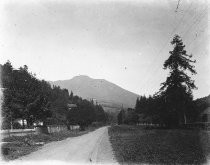 Miller Avenue near Park Avenue, circa 1899