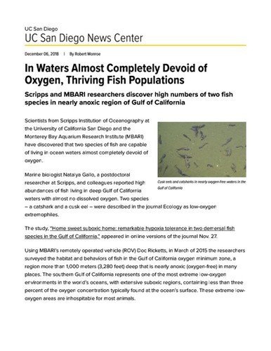 In Waters Almost Completely Devoid of Oxygen, Thriving Fish Populations