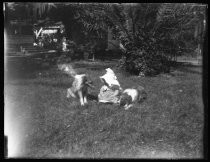 Baby in bonnet, sitting in grass with two dogs
