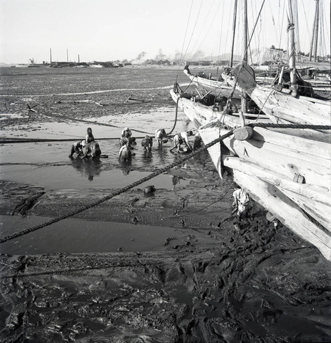 Women digging at low tide in a harbor