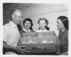 Otto Berger giving boxes of chicks to Helen Cella, Marilyn Pinkerton and Alice Guglielmetti, Petaluma, California, 1955