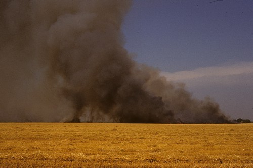 Burning barley stubble, north of Davis