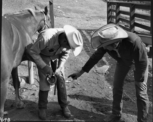 Training Activities, Stock Use, care of horses and pack stock, Jack and Troy Hall - NPS Individuals