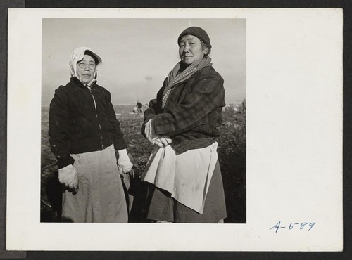 Two women of Japanese ancestry pause from their potato harvesting to pose for this picture. Photographer: Stewart, Francis Newell, California