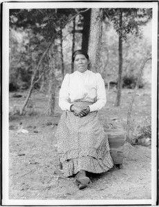 Paiute indian woman sitting on a small wooden crate in the forest, ca.1900