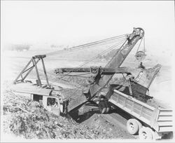 Power shovel loads dirt on truck, Petaluma, California, 1955