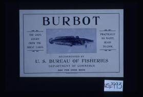 Burbot, the cod's cousin from the Great Lakes, practically no waste. Ready to cook. Recommended by U.S. Bureau of Fisheries, Department of Commerce, ask for cook book