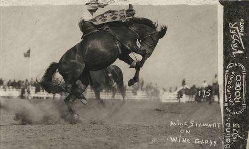 Mike Stewart, California Rodeo — Calisphere