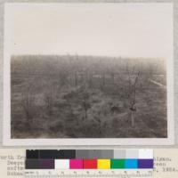 North from Houghton Lake headquarters tower, Michigan. Deepest swamps have not burned and a little green softwood timber is still found in them. May 2, 1924. Schaaf
