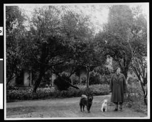 Woman and her dogs on the property of the Miguel Parra adobe (Alvarado adobe?) in Pomona, ca.1930
