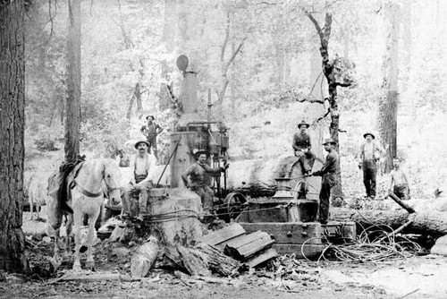 Shelton logging crew at Lyonsville