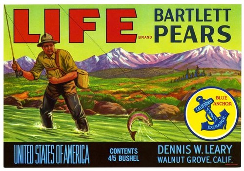 Life Brand Bartlett Pears Dennis W Leary Walnut Grove California Label