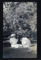 Woman under tree with parasol