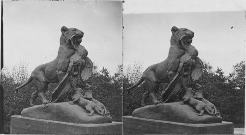 Bronze Lions. Central Park. N.Y