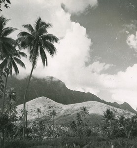 A landscape of Raiatea