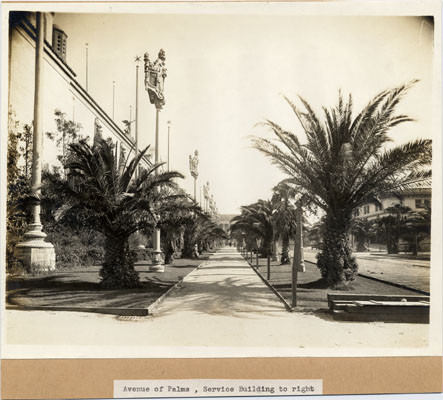 Avenue of Palms, Service Building to right