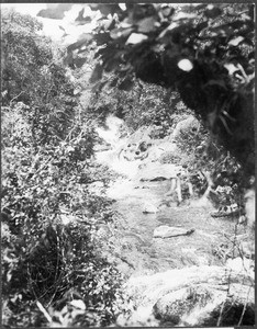 Mountain stream near Gonja, Tanzania, ca. 1927-1938