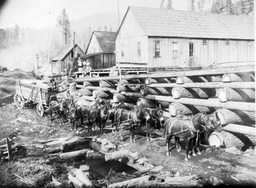 Comstock Mill Lumber Hauling, Sierra Nevadas, 1890s