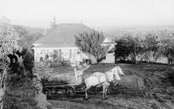 Unidentified farm house, possibly the Vine Hill property of F. J. Riddell, early 1900s