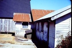 Unidentified barn and house, 1977