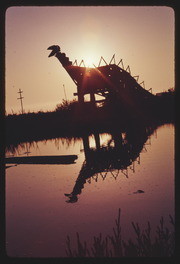 SEP75P3-19: dinosaur sculpture with reflection
