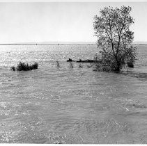 High Waters in Yolo Bypass