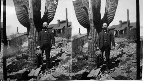 Pres. McKinley tour in Arizona. Against cactus. Arizona