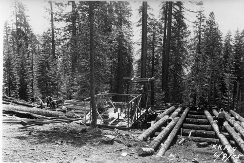General View of Sawmill Layout