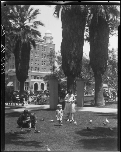 Group feeding pigeons in park, Long Beach, 1929