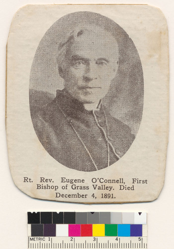 Rev. Eugene O'Connell