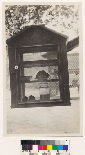 Food stored outside in box